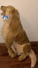 Melissa   Doug Large Golden Retriever 31  Life-size Plush Dog Stuffed Animal New