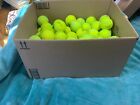 100 Low Cost Doggie Balls - Lightly  Used Tennis Balls - Great For Dogs 