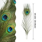 Ihufeather 10pcs Real Natural Peacock Eye Feathers 10-12 Inch For Diy Craft Flor