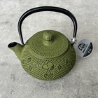 Snoopy    Nanbu Tekki Green Ironware Iron Kettle Teapot  Limited Production