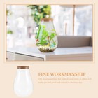 Tealight Container Diy Plants Glass Empty Bottle Micro Landscape Vase
