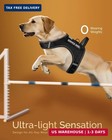 Service Dog Vest For Large Dogs - Air Mesh Breathble Emotional Support