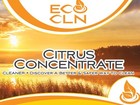 Eco Cln Citrus Concentrate 1 Gallon Natural Cleaner Dilute To Meet Your Needs