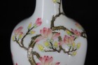 A Pair Chinese Pastel Porcelain Handpainted Exquisite Flowers plants Vase 11216