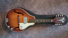 Kay K494 Acoustic Electric Mandolin 1960s K495