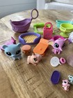 Lps Littlest Pet Shop Pets Accessories Lot Play Set Replace Pieces Mini Pets