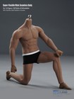 1 6 Male Action Figure Body Tbleague Pl2016-m33 Muscular Seamless For 12  Phicen