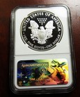 2017-s American Silver Eagle__ngc Pf 69__congratulations Set