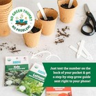  Heirloom Organic  Non-gmo   Usa Grown Seeds  30ct Herb  30pk Heirloom Variety