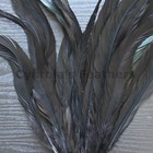25 Pcs 12-14  Long Black Dyed Rooster Coque Tail Feathers For Crafting  New