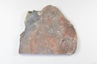 Orange Agatized Dinosaur Bone  Utah  Ex Shirley Collection  255 Grams