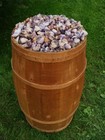 1000 Carat Lots Of Natural Banded Amethyst Rough - Plus A Free Faceted Gemstone