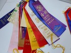 Vintage Large Lot Of 1960s 4h Appalachian District Fair Ribbons Gray Tennessee
