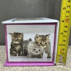 The Gifted Stationery Cute Kittens Memo Cube W drawer Trinket Box Flip Top Lid