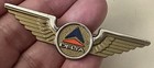 Vtg Delta Airlines Wing Pin Gold Tone Aviation Badge Logo Advertising Plastic