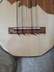 Professional Ronroco-from The Charango Family Cerrudo Torrico - Bolivia