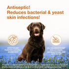 Douxo S3 Pyo Mousse Contains 3 0 5 Ophytrium For Bacterial Or Yeast Skin
