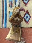 Beautiful Mounted Gamecock Rooster