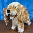 1950s Steiff Cockie Golden Cocker Spaniel 10 x14    1325 02  No Eyes - Rare Large