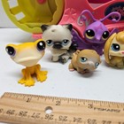 Littlest Pet Shop Paw Powered Cruiser Car Vehicle W  10 Lps Animal Figure Pets