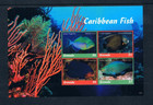  24 00 Scott Value - 2018 Grenada Tropical Fish 2 S s Caribbean Cv Mnh Nh Umm