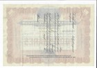 Mexico 1919 Boston Mexican Petroleum Stock Certificate  21 Panuco River Vera Cru