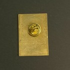 Vintage Rotary International Pin  believe In What You Do  Theme Badge