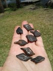 46 High Quality X-large Gar Fish Scales Florida Ice Age Fossil 