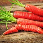 Sweet Red Carrot  red Sky  Heirloom 300  Seeds 100  Organic Non Gmo Grown In Usa