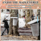 5 Set Maple Syrup Tree Tapping Kit Maple Syrup Sugaring Starter Taps Include    