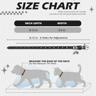 Leather Cat Collar For Girl Boy- Adjustable Pet Collar With Safety Elastic Belt 