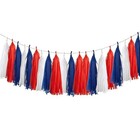 15pcs Paper Tassel Garland tissue Tassel Banner For Red Blue And White