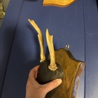 Vintage Whitetail Deer Antler Mount On Plaque Taxidermy 3 Point