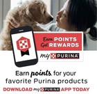 Purina Dog Chow Complete Adult Dry Dog Food Kibble Beef Flavor - 18 5 Lb  Bag