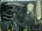 1979 Neca Ultimate Alien Vs Predator Avp Exclusive Action Figure Set