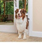 Petsafe Sliding Glass Dog Door  Large  Adjustable  Diy Installation