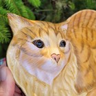 Vintage Cat Shaped Plate Alex   Ivy Orange Ginger Cat