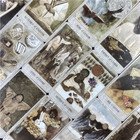The Hoodoo Tarot