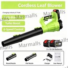 New Cordless Leaf Blower 650cfm 280mph   6 Speed Levels Electric W 2 Batteries
