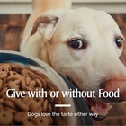 Sure Shot Liquid De-wormer For Dogs And Puppies  Liquid De-wormer Treats Roundwo