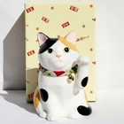 Maneki Neko Pottery Beckoning Lucky Cat Good Luck 14 5cm Yakushigama Made Japan