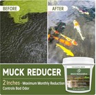 Muck Reducer - 5lb Natural Sludge Solution Tablets For Ponds   Lakes  Away Muck