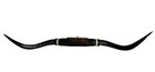 Mounted Steer Horns About 6 Feet Wide Longhorn Polished Mount Bull Cow B146