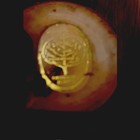 Vintage Danish Modern Teak Wood Vase