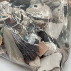 Natural Sea Shells Coral 4lb Bulk Lot W  Clear Glass Fish Bowl Vase Beach Decor