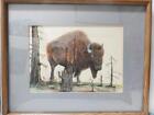 T  Pooley Asa Signed Bison Buffalo Western Indian Dsgn Water Color Painting
