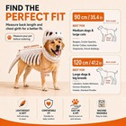 Dog Dinosaur Skeleton Costume Pet Halloween Party Costumes For Medium Large Dogs