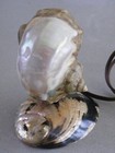 Vintage Sea Shell Table Lamp Nightlight Tv Light Seashell Abalone 5  High