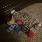 Douglas Spunky Hedgehog With Blue Winter Hat Plush Stuffed Animal Toy  5 