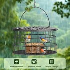 Hanging Bird Feeder  Metal Caged Squirrel Proof Bluebird Feeders - Birdfeeder